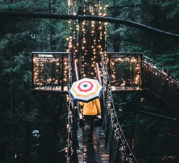 Pont suspendu | Experience Yandata